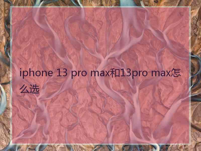 iphone 13 pro max和13pro max怎么选