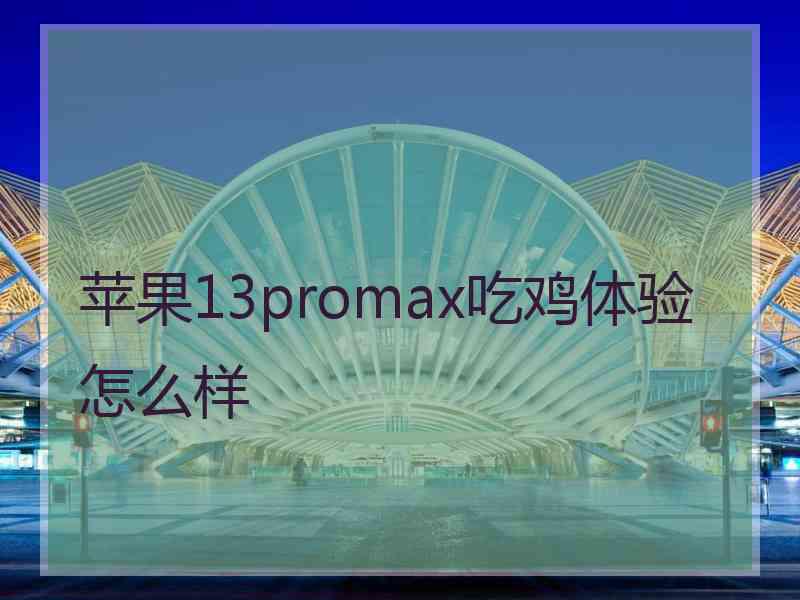 苹果13promax吃鸡体验怎么样