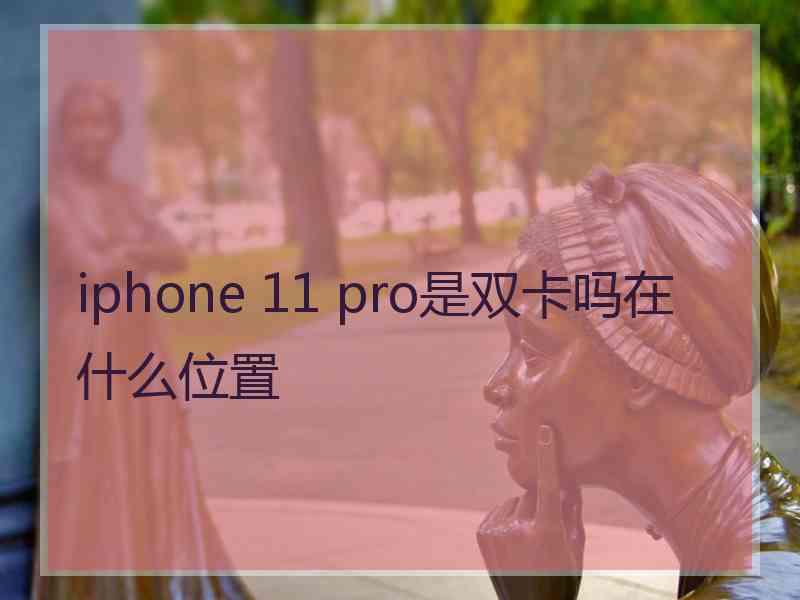 iphone 11 pro是双卡吗在什么位置