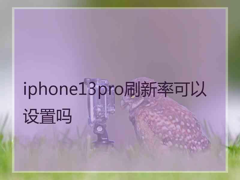 iphone13pro刷新率可以设置吗