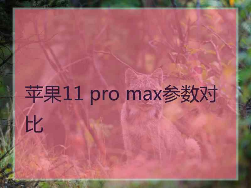 苹果11 pro max参数对比