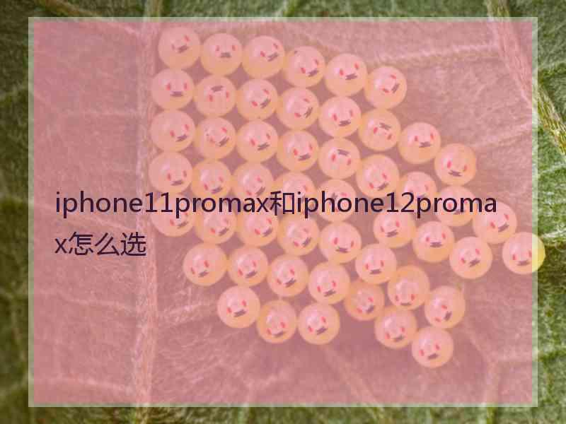 iphone11promax和iphone12promax怎么选