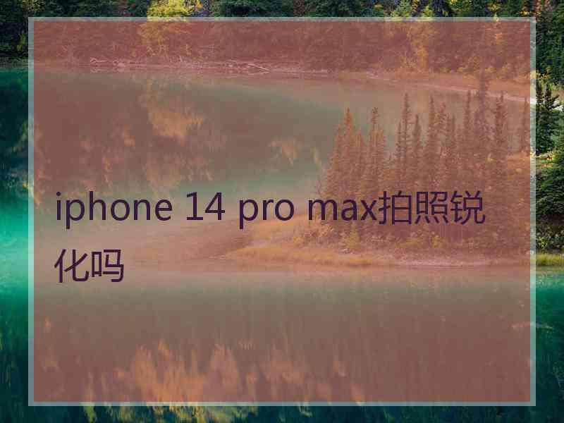 iphone 14 pro max拍照锐化吗