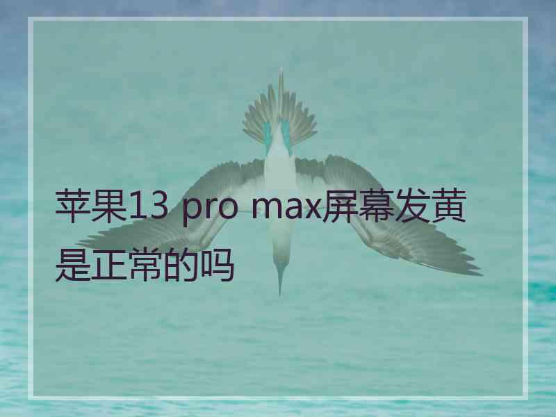 苹果13 pro max屏幕发黄是正常的吗