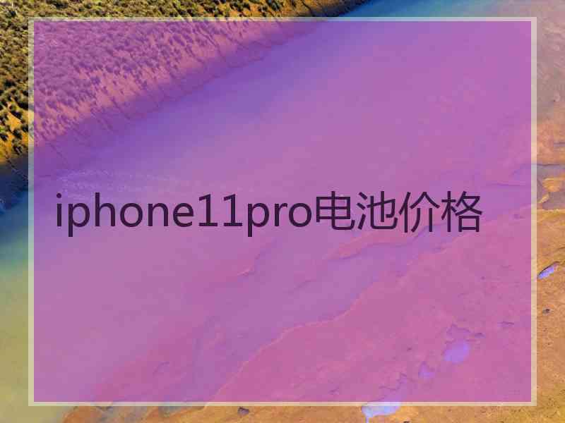 iphone11pro电池价格