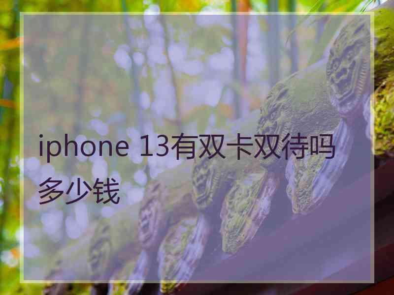 iphone 13有双卡双待吗多少钱