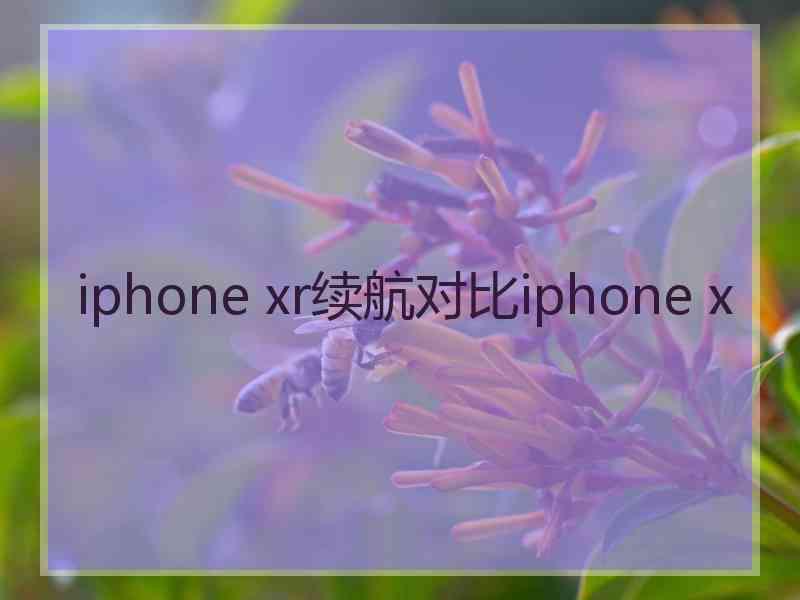 iphone xr续航对比iphone x