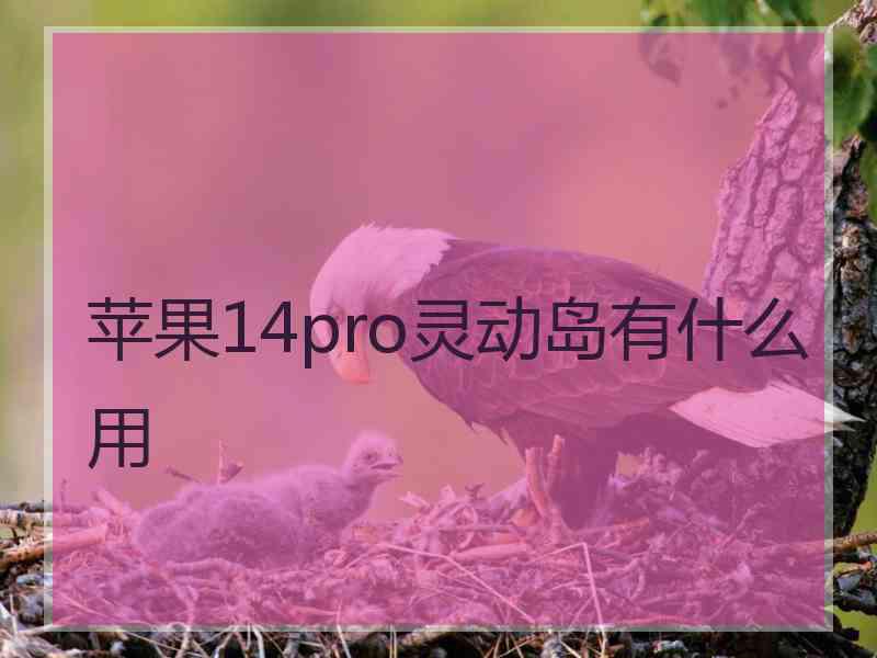 苹果14pro灵动岛有什么用