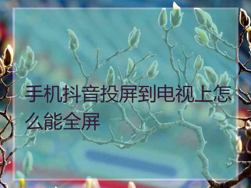 手机抖音投屏到电视上怎么能全屏