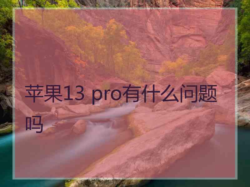 苹果13 pro有什么问题吗