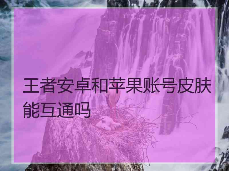 王者安卓和苹果账号皮肤能互通吗