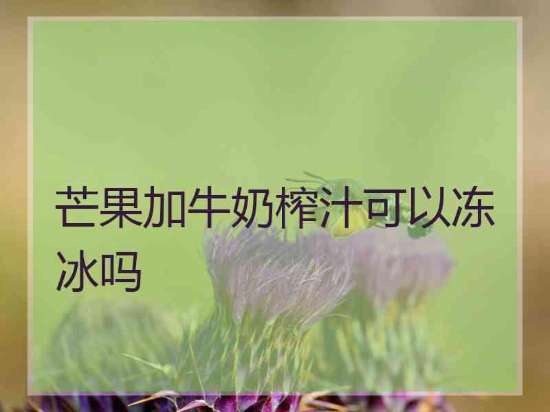 芒果加牛奶榨汁可以冻冰吗