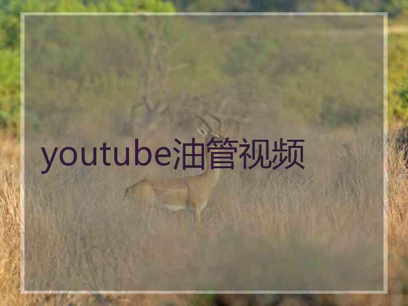 youtube油管视频