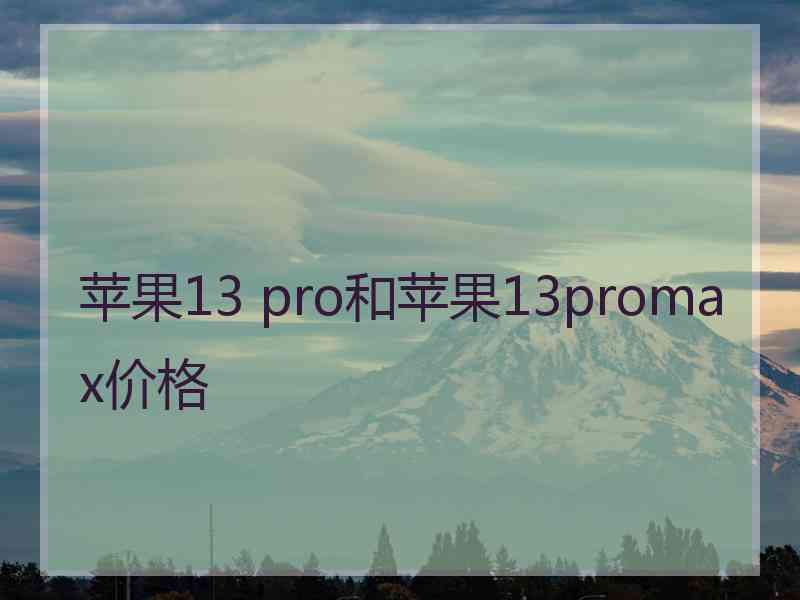 苹果13 pro和苹果13promax价格