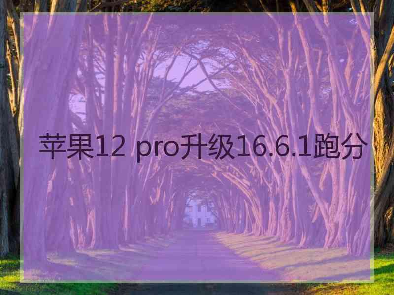 苹果12 pro升级16.6.1跑分