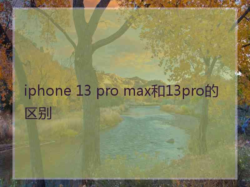 iphone 13 pro max和13pro的区别