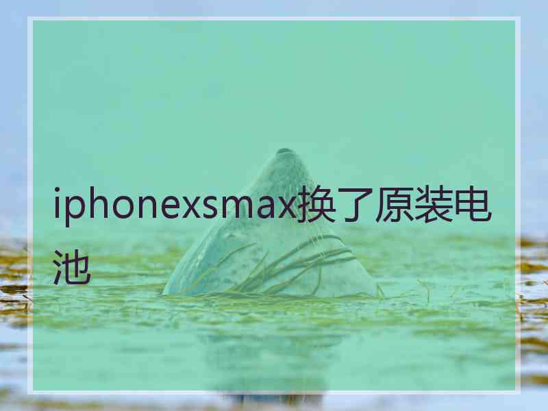 iphonexsmax换了原装电池