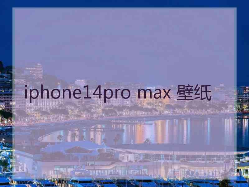 iphone14pro max 壁纸