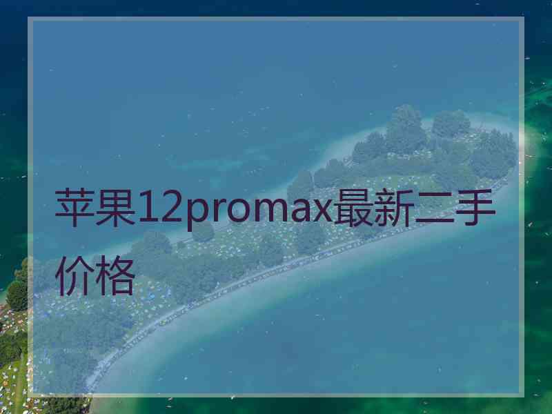 苹果12promax最新二手价格