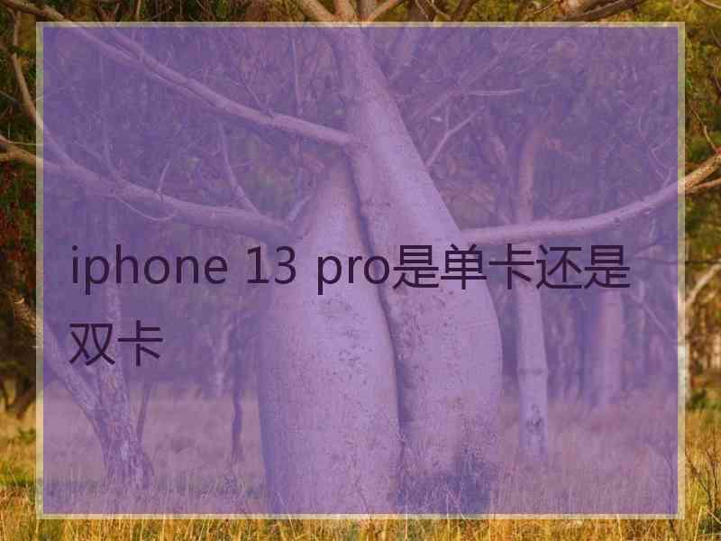 iphone 13 pro是单卡还是双卡