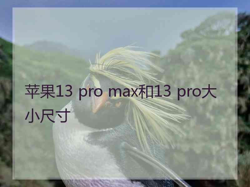 苹果13 pro max和13 pro大小尺寸