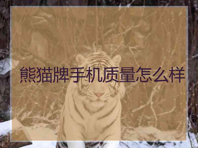 熊猫牌手机质量怎么样