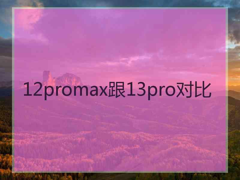 12promax跟13pro对比