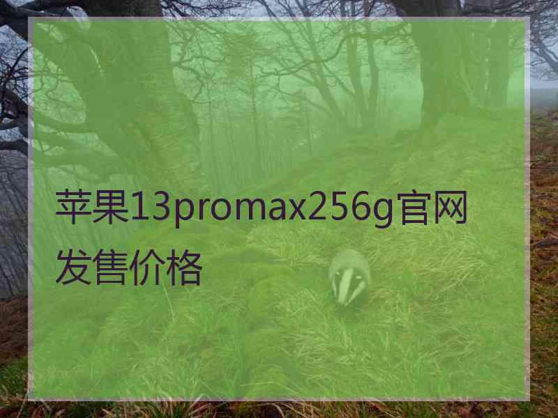 苹果13promax256g官网发售价格