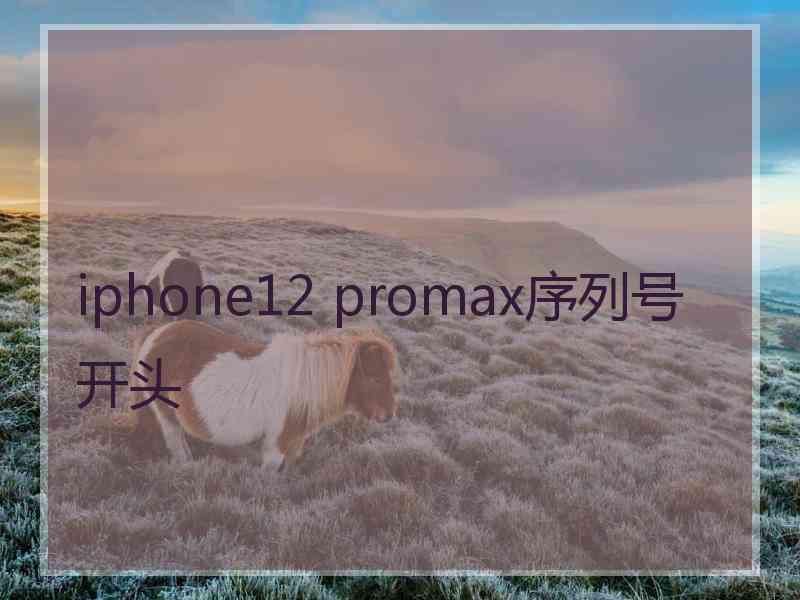 iphone12 promax序列号开头