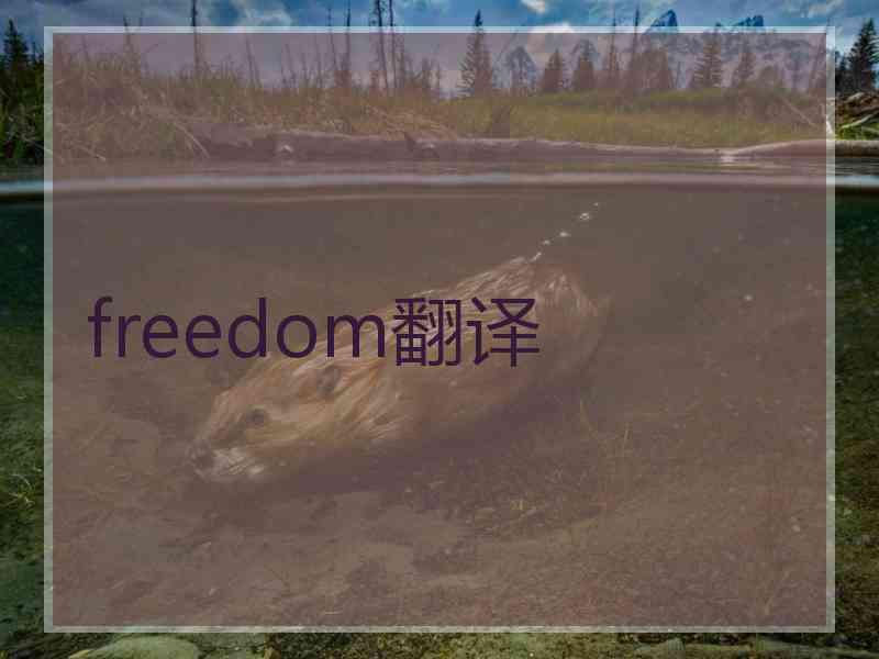 freedom翻译