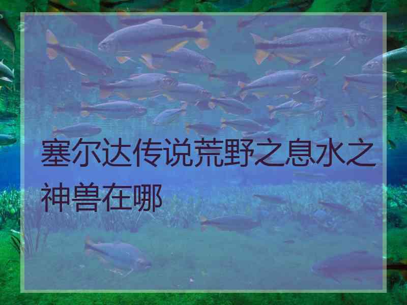 塞尔达传说荒野之息水之神兽在哪