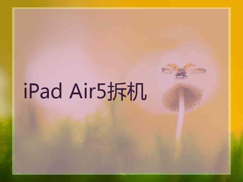 iPad Air5拆机