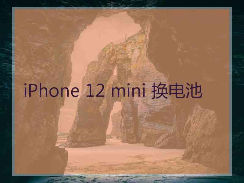 iPhone 12 mini 换电池