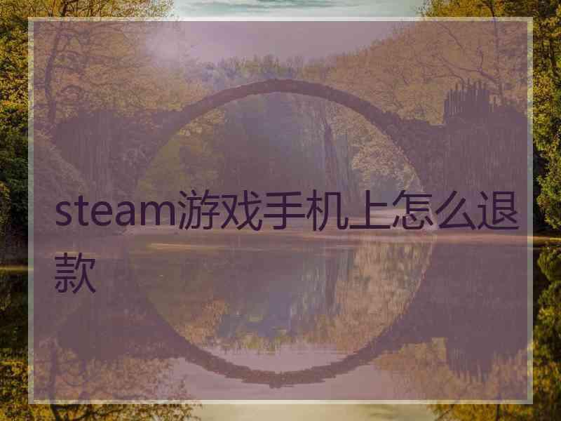 steam游戏手机上怎么退款