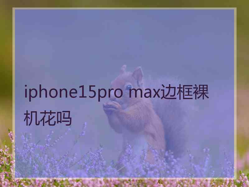 iphone15pro max边框裸机花吗