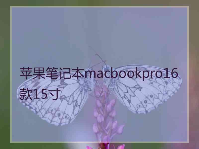 苹果笔记本macbookpro16款15寸