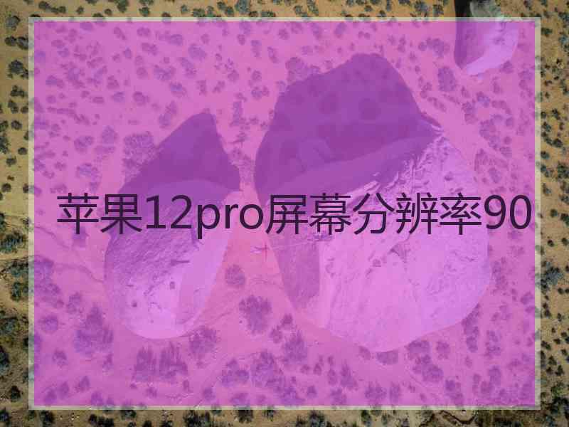 苹果12pro屏幕分辨率90