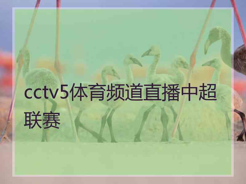 cctv5体育频道直播中超联赛