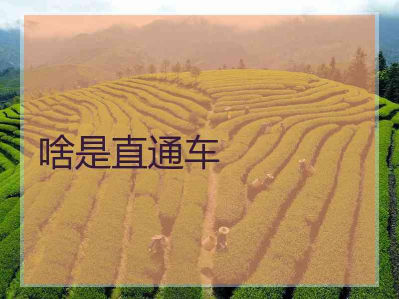 啥是直通车