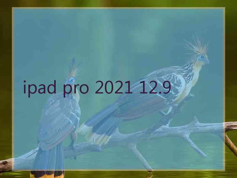 ipad pro 2021 12.9