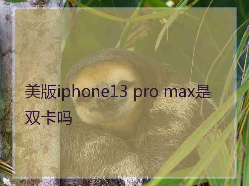 美版iphone13 pro max是双卡吗