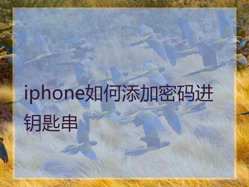 iphone如何添加密码进钥匙串