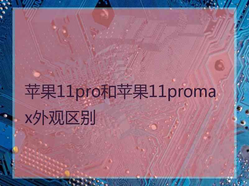 苹果11pro和苹果11promax外观区别