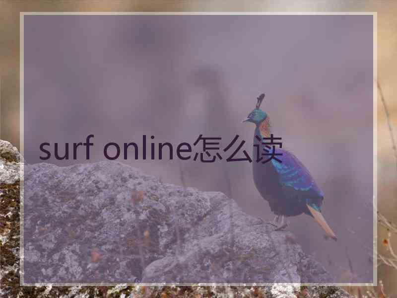 surf online怎么读