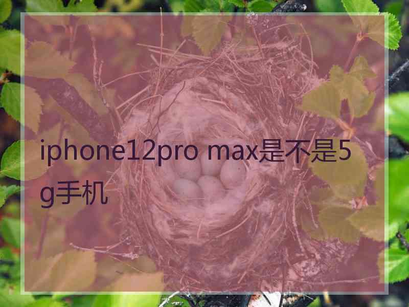 iphone12pro max是不是5g手机