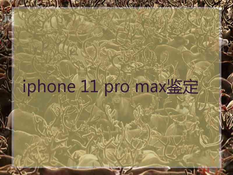 iphone 11 pro max鉴定