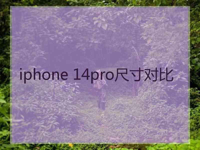 iphone 14pro尺寸对比