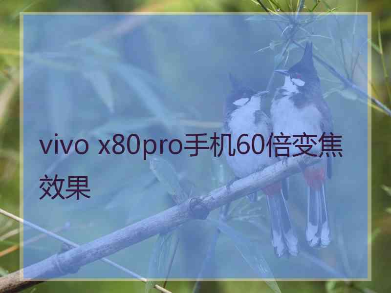 vivo x80pro手机60倍变焦效果