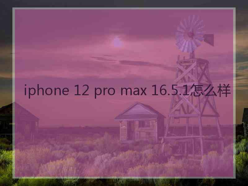 iphone 12 pro max 16.5.1怎么样