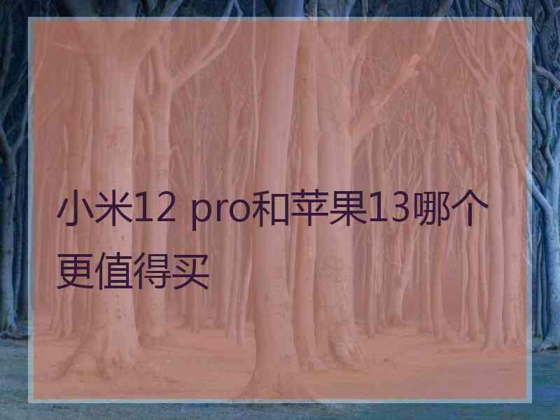 小米12 pro和苹果13哪个更值得买